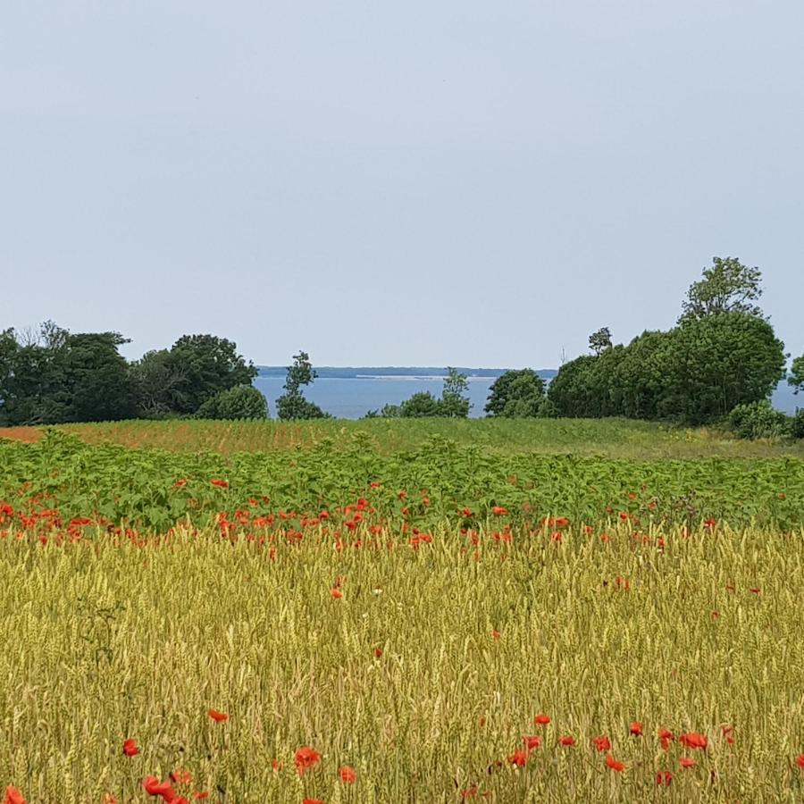 Strand & Garten Surendorf Eksteriør bilde